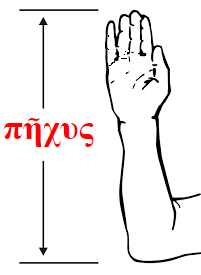 πῆχυς
