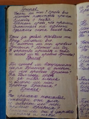 'Гусли' (Елена Мачуленко). Страница 041