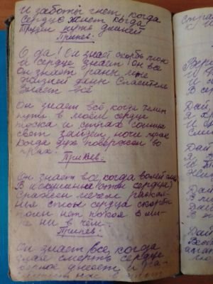 'Гусли' (Елена Мачуленко). Страница 096