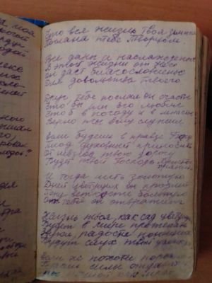 'Гусли' (Елена Мачуленко). Страница 111