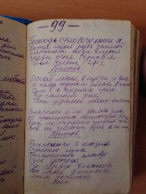 'Гусли' (Елена Мачуленко). Страница 113