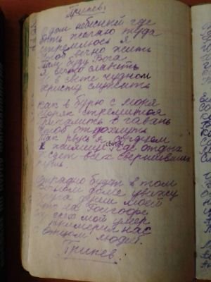 'Гусли' (Елена Мачуленко). Страница 122