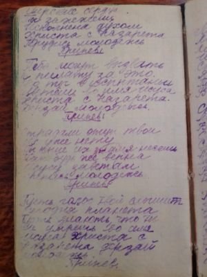 'Гусли' (Елена Мачуленко). Страница 142