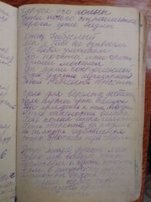 'Гусли' (Елена Мачуленко). Страница 167