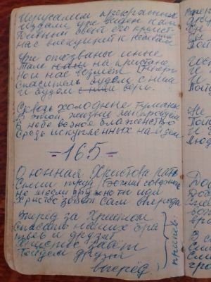 'Гусли' (Елена Мачуленко). Страница 204