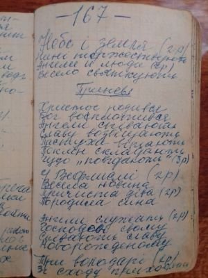 'Гусли' (Елена Мачуленко). Страница 207