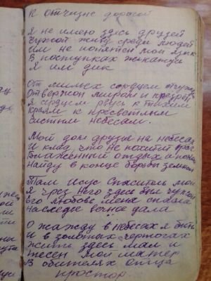 'Гусли' (Елена Мачуленко). Страница 213