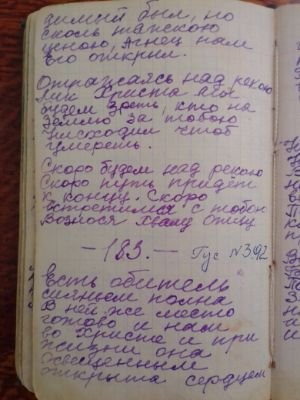 'Гусли' (Елена Мачуленко). Страница 226