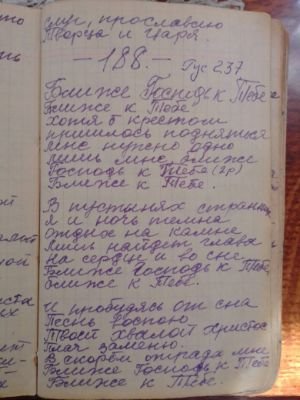 'Гусли' (Елена Мачуленко). Страница 233