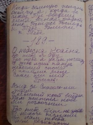 'Гусли' (Елена Мачуленко). Страница 234