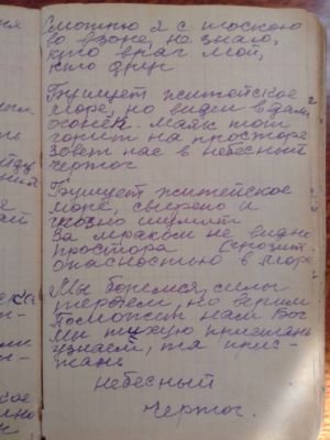 'Гусли' (Елена Мачуленко). Страница 237