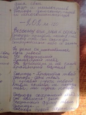 'Гусли' (Елена Мачуленко). Страница 251