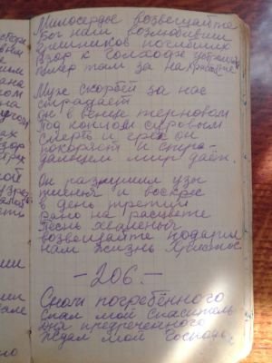 'Гусли' (Елена Мачуленко). Страница 255