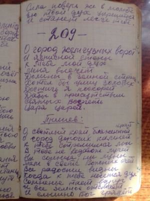 'Гусли' (Елена Мачуленко). Страница 259