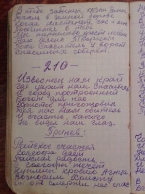 'Гусли' (Елена Мачуленко). Страница 260