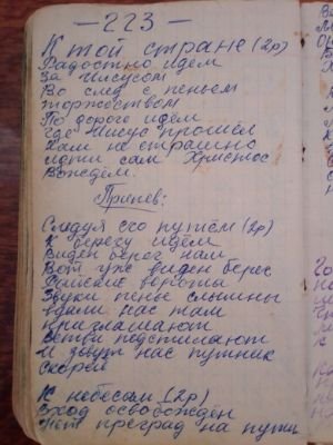 'Гусли' (Елена Мачуленко). Страница 282