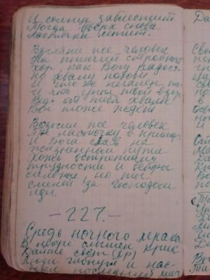'Гусли' (Елена Мачуленко). Страница 288