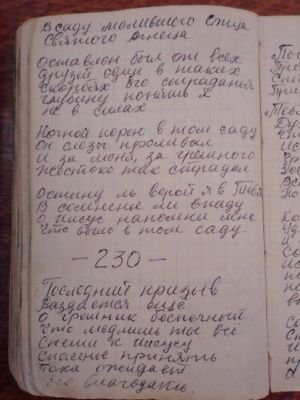 'Гусли' (Елена Мачуленко). Страница 292