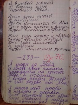 'Гусли' (Елена Мачуленко). Страница 296