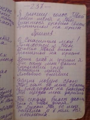 'Гусли' (Елена Мачуленко). Страница 301