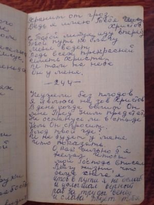 'Гусли' (Елена Мачуленко). Страница 309