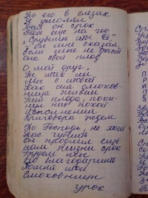 'Гусли' (Елена Мачуленко). Страница 344