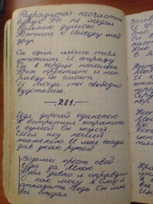 'Гусли' (Елена Мачуленко). Страница 370