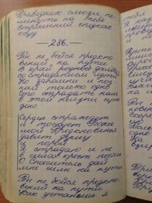 'Гусли' (Елена Мачуленко). Страница 378